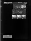Tobaccco Warehouse (9 negatives), August 22-24, 1966 [Sleeve 52, Folder d, Box 40]